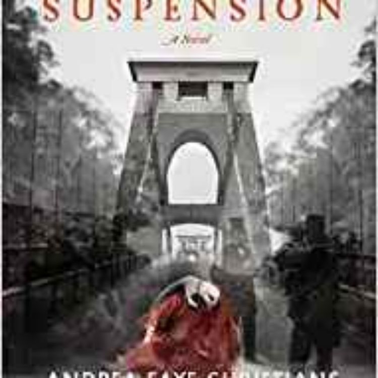 cover art for Andrea Faye Christians - Suspension