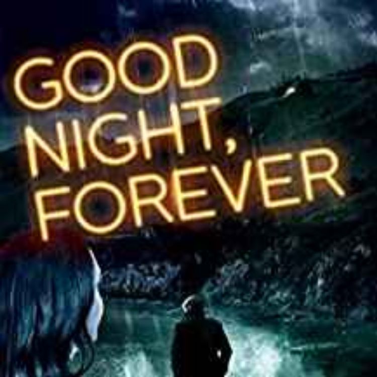 cover art for Jeffrey Fleishman - Good Night Forever