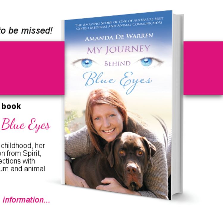 cover art for Amanda DeWarren - Medium & Animal Spirit Communicator