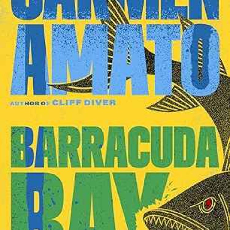 cover art for Carmen Amato - Barracuda Bay