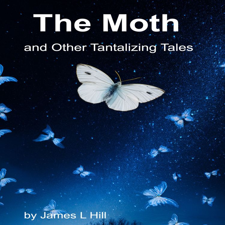 cover art for James L. Hill - The Moth