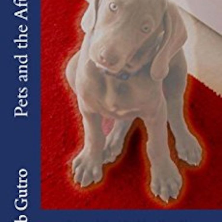 cover art for Animal Communication After Death- Rob Gutro