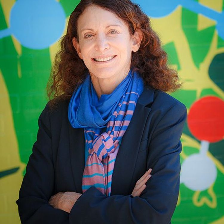 cover art for Laura Zarrow with Jane Golden on Activism and the Arts