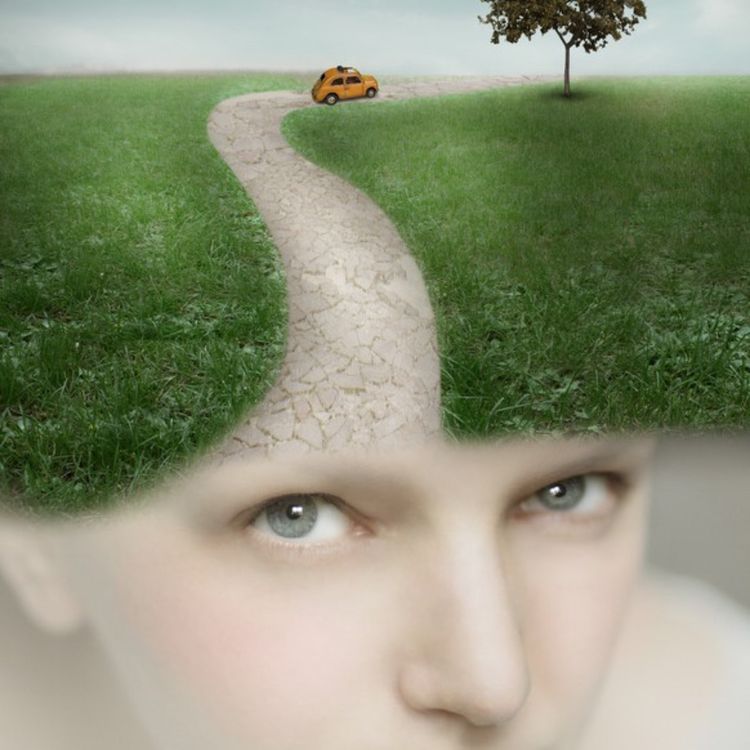 cover art for Følelsen av sammenheng og trygghet