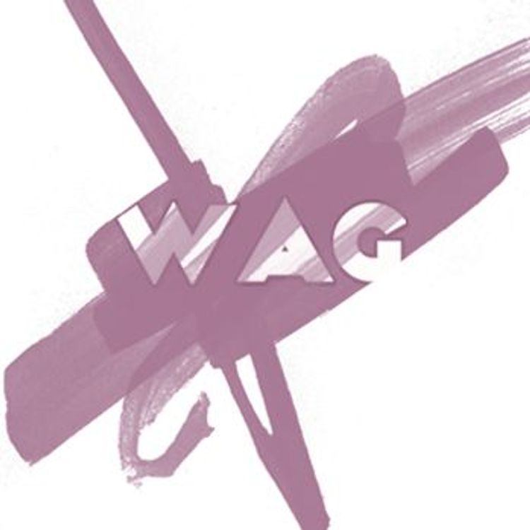 cover art for L'ACTU DES BLOGS CINE - ANNE LAURE SOYEZ