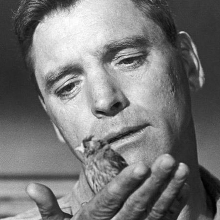 cover art for #23 - Evadez-vous avec "Le Prisonnier d'Alcatraz" et les ressorties DVD du mois de juillet