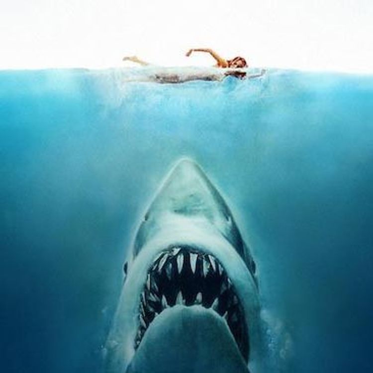 cover art for Défense de nager : Les films de requins.