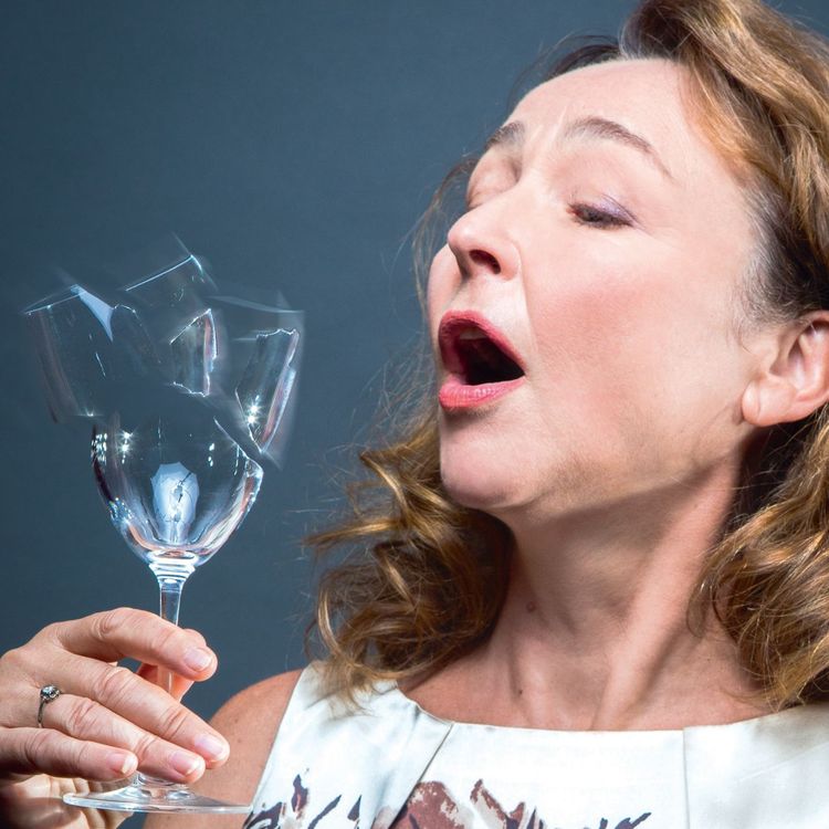 cover art for La voix au cinéma.