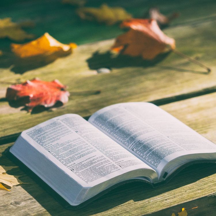 cover art for Les adaptations littéraires au cinéma.