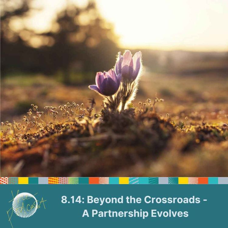 cover art for 8.14: Beyond the Crossroads - A Partnership Evolves