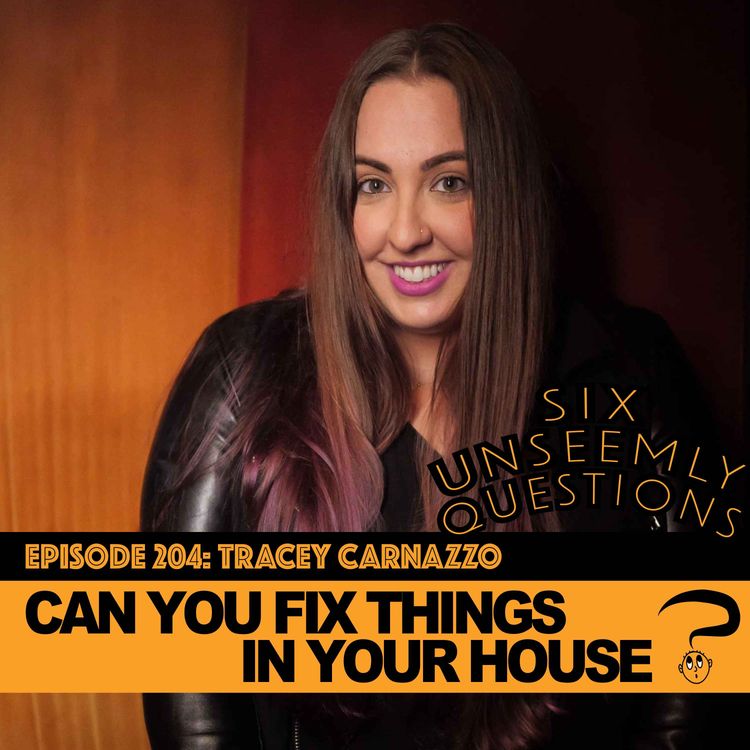 cover art for Can You Fix Things In Your House?