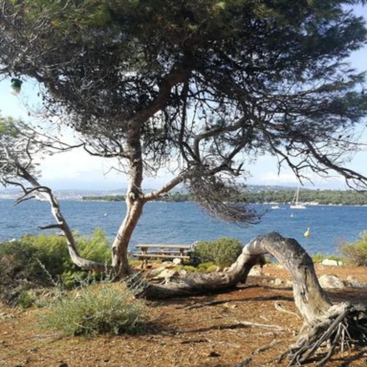 cover art for La mer, c'est mon père