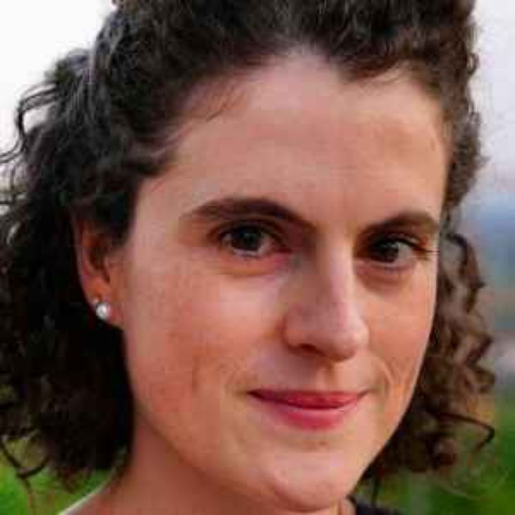 cover art for Social Media Algorithms and the Infrastructure of Disinformation