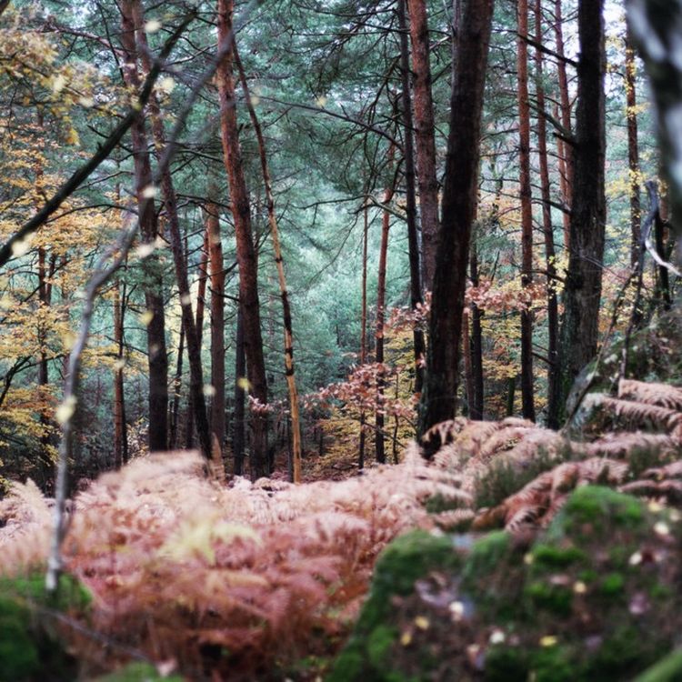 cover art for Cravate Club Episode Final Saison 2