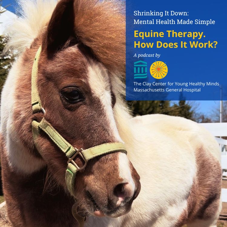 cover art for Equine Therapy. How Does It Work?