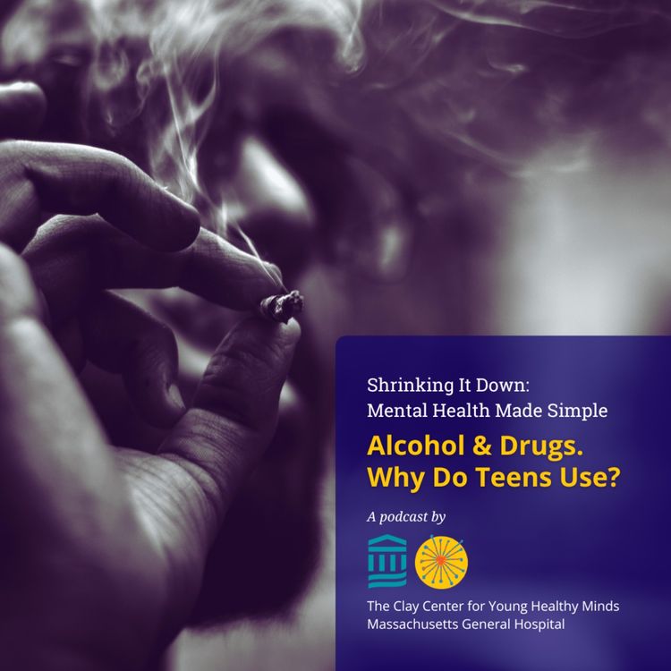 cover art for Alcohol & Drugs - Why Do Teens Use?