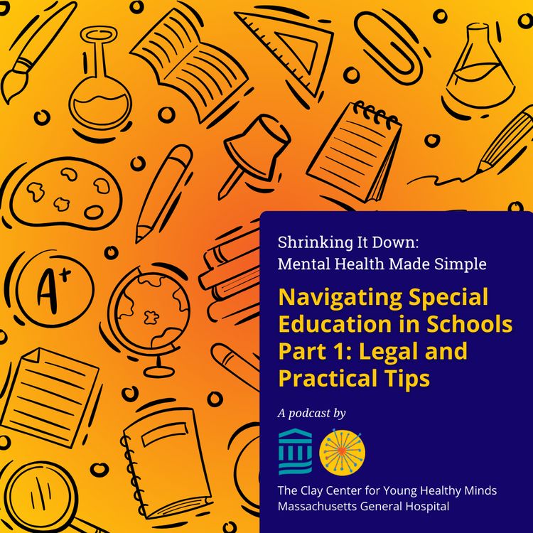 cover art for Navigating Special Education in Schools Part 1: Legal and Practical Tips
