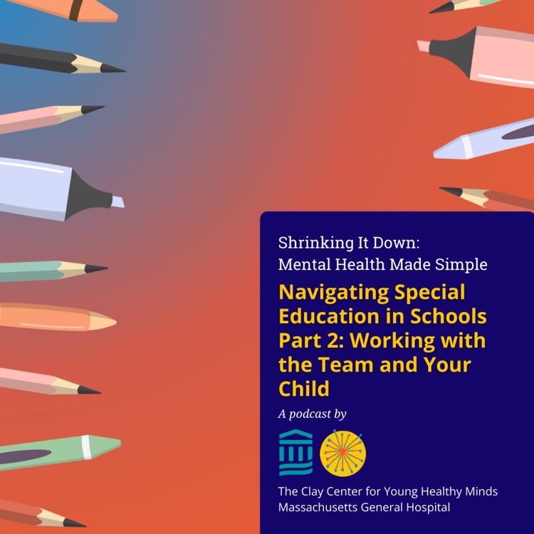 cover art for Navigating Special Education in Schools Part 2: Working with the Team and Your Child