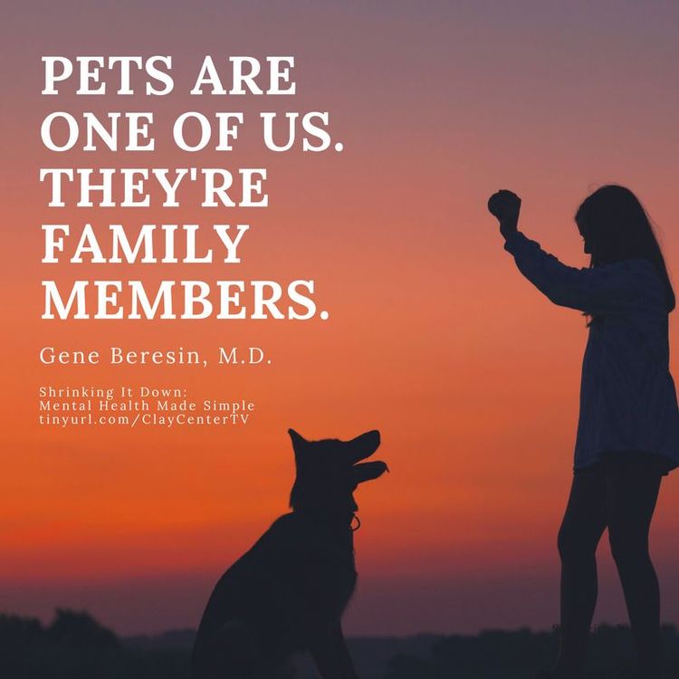 cover art for The Importance of Pets for Mental Health (S1 Ep4)