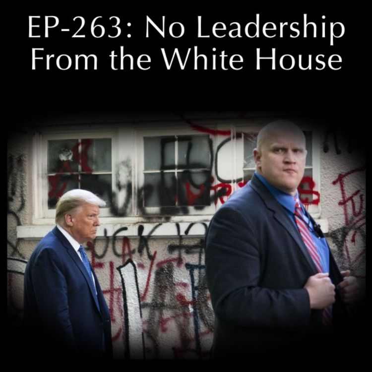 cover art for No Leadership From the White House - EP 263