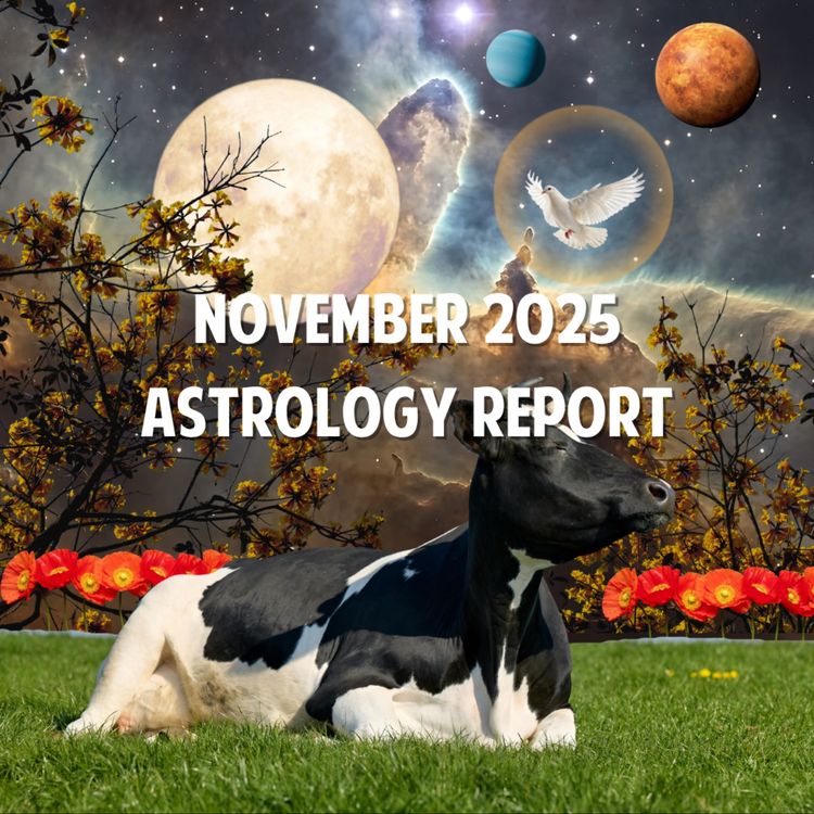 cover art for November 2025 Astrology Report 