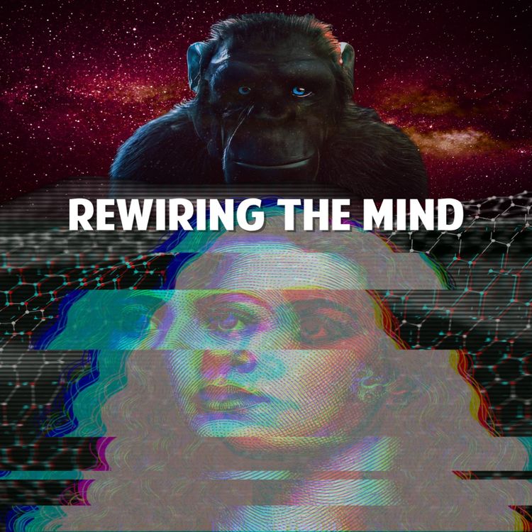 cover art for Rewiring The Mind