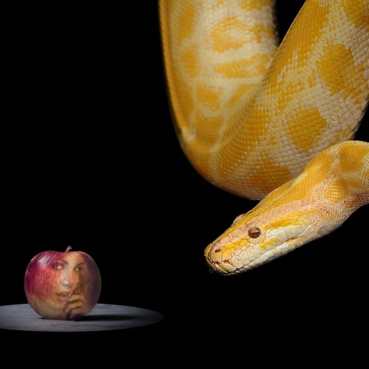 cover art for Very Tempting!