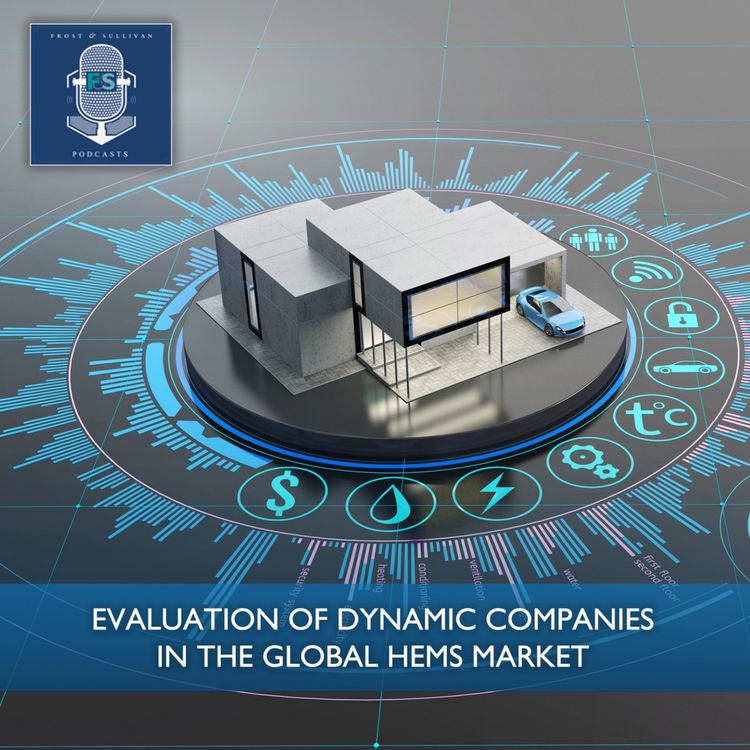 cover art for Evaluation of Dynamic Companies in the Global HEMS Market