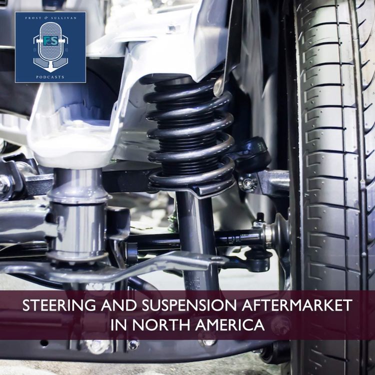 cover art for Steering and Suspension Aftermarket in North America