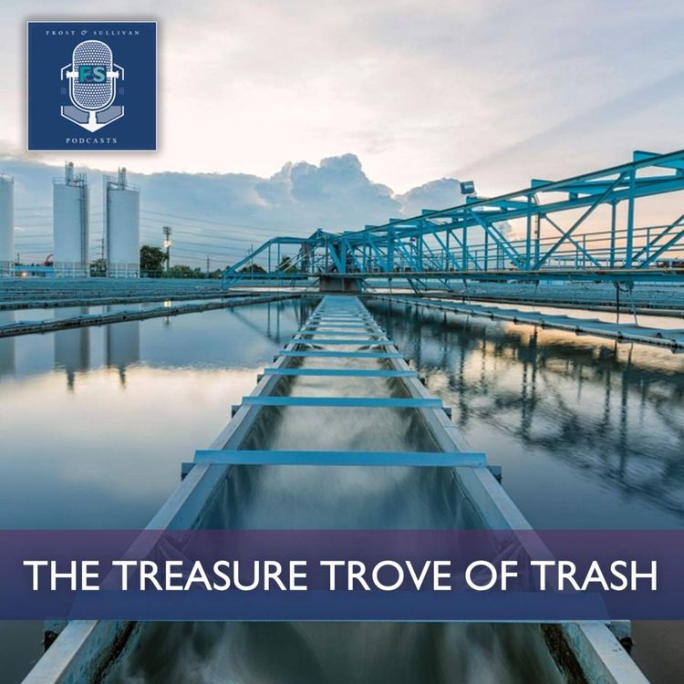 cover art for The Treasure Trove of Trash