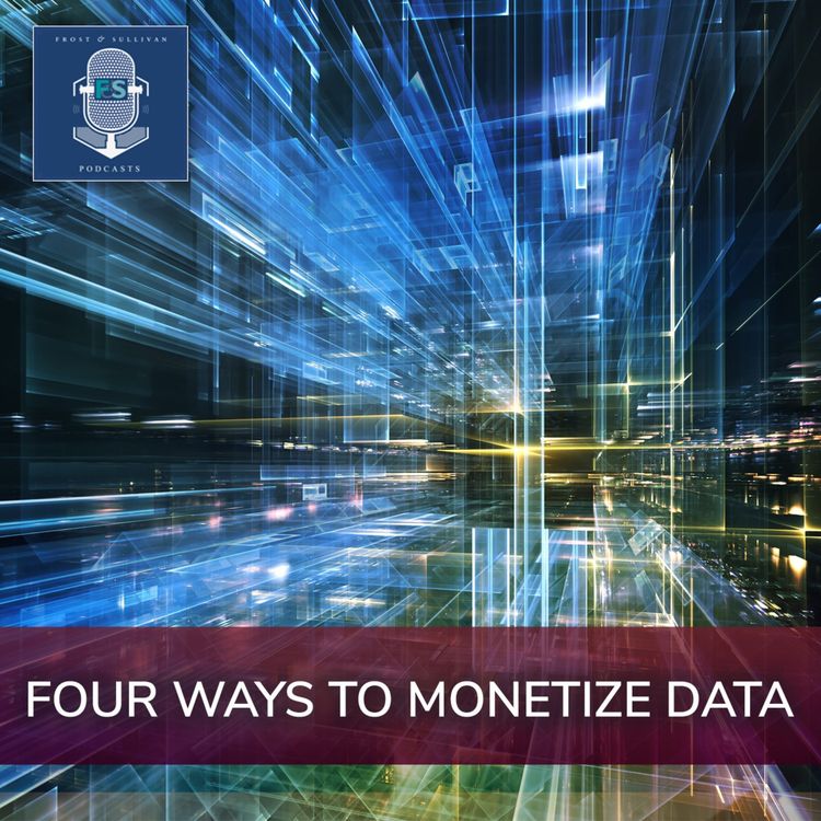 cover art for Four Ways to Monetize Data