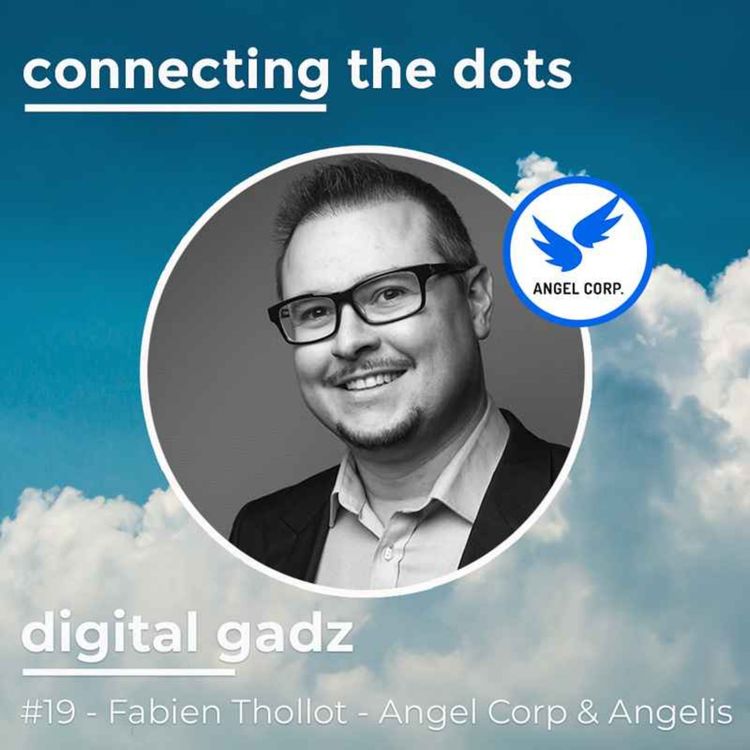 cover art for #19 -Digital Gadz -Fabien Thollot - Angel Corp et Angelis - les jeux vidéo 🎮 et la propriété intellectuelle
