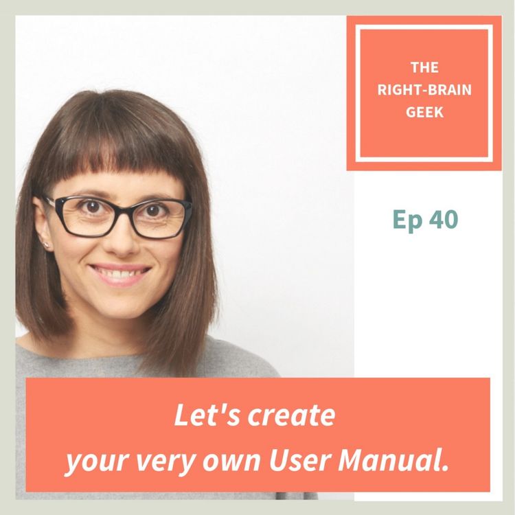 cover art for 40 - Let's create your very own User Manual.