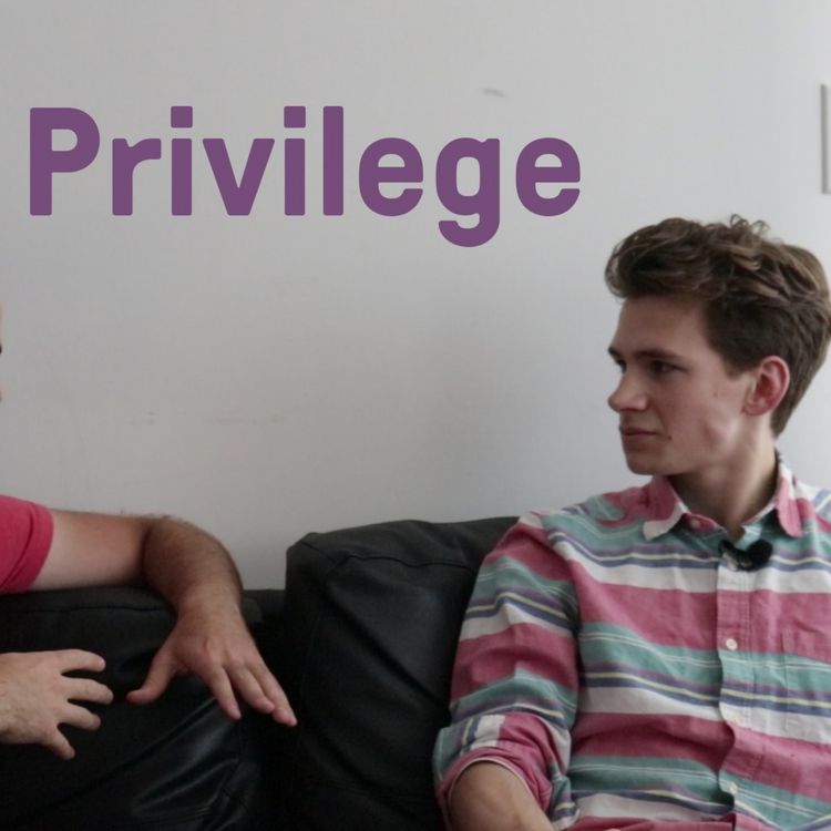 cover art for Privilege