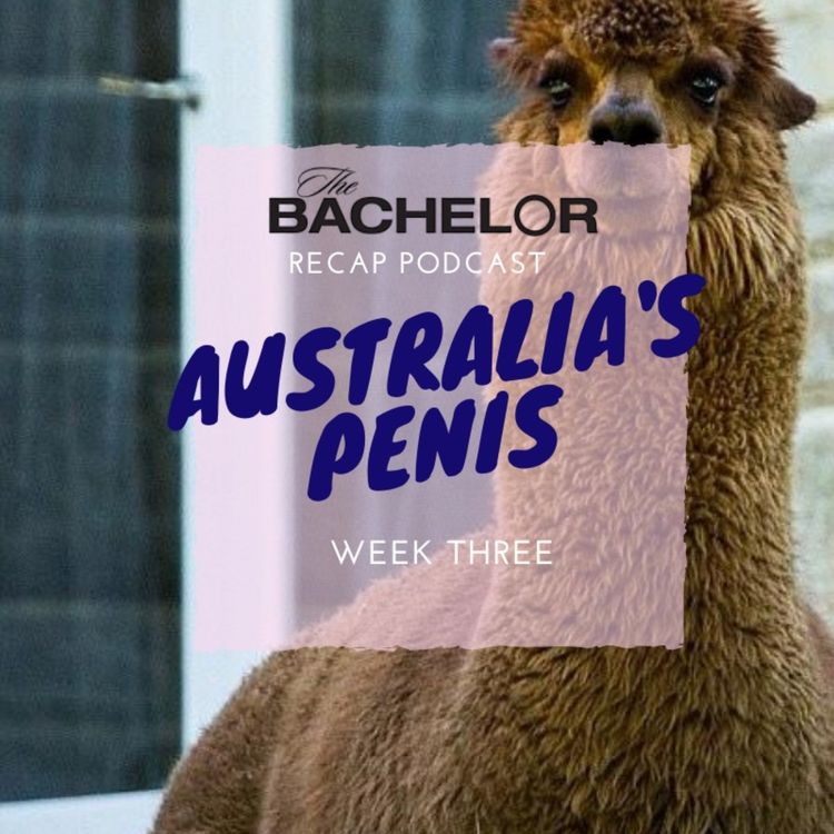 cover art for THE BACHELOR: Week 3 - Australia's Penis