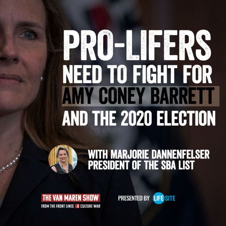 cover art for Pro-lifers need to fight for Amy Coney Barrett and the 2020 election