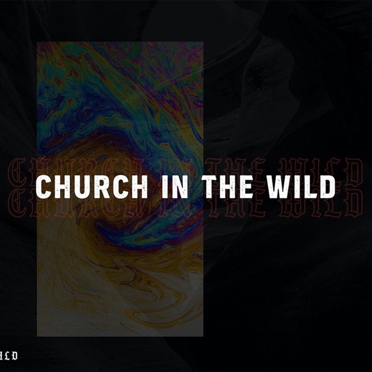 cover art for Guts and the Gospel