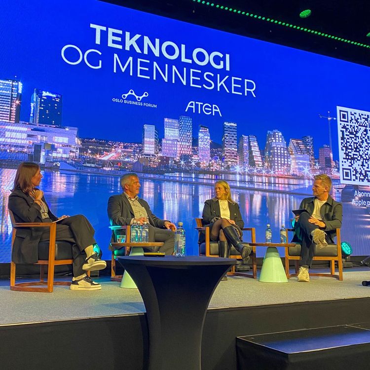 cover art for Hvorfor vi trenger en digitaliseringsminister