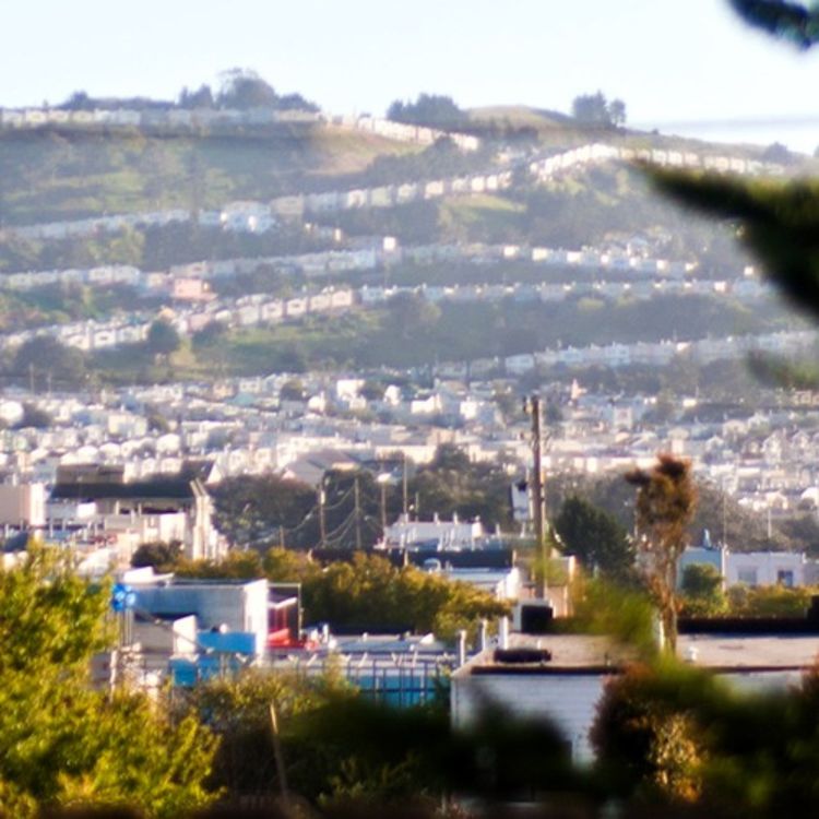 cover art for Why the 1960s song 'Little Boxes' still strikes a chord today