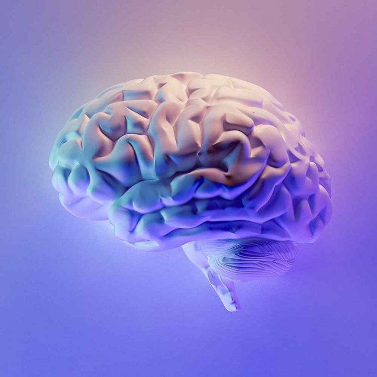 cover art for How forgiveness changes you and your brain