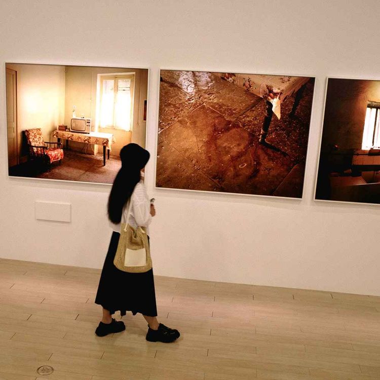 cover art for Alva Noë on how art allows us to see everyday things anew