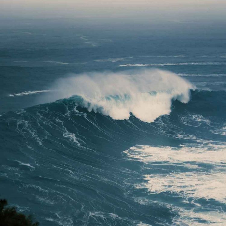 cover art for Long said to be ‘too big to fail,’ the ocean needs a new narrative