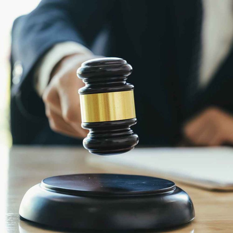 cover art for The rule of law depends of the courage of judges 