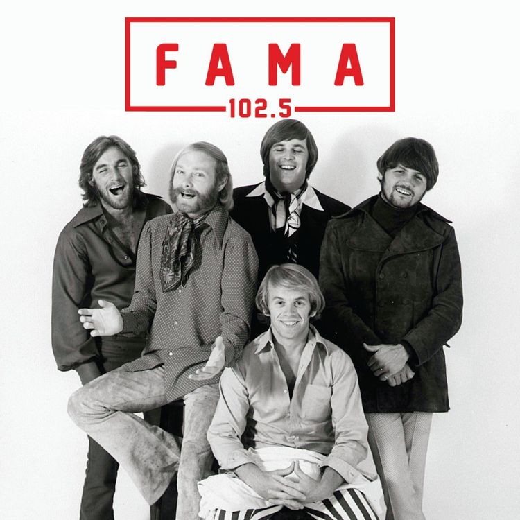 cover art for The Beach Boys