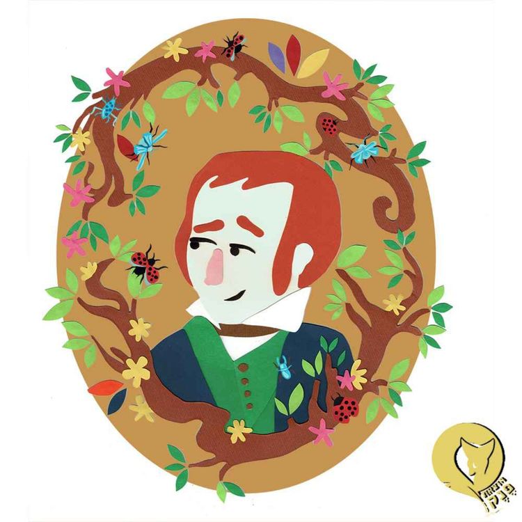 cover art for הילד שאהב חיפושיות