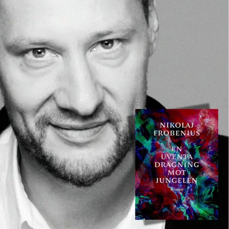cover art for Nikolaj Frobenius │ En psykedelisk roman