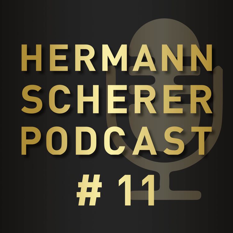 cover art for # 11 Strategie hinter digitalen Medien - Nadine Dlouhy