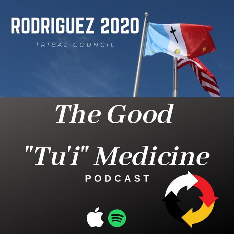 cover art for Tribal Council 2020 Candidacy