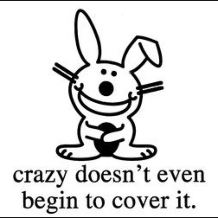 cover art for You Can't Fix Crazy