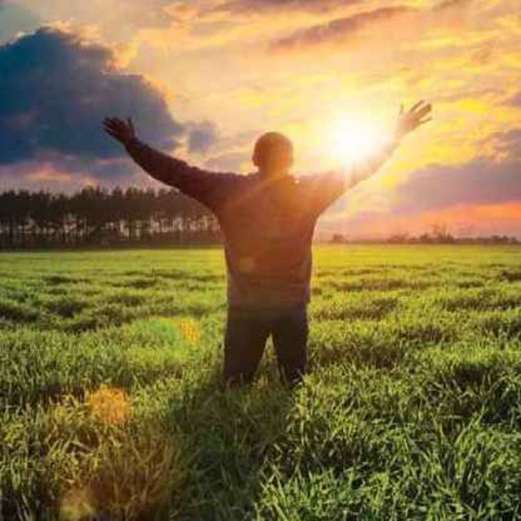 cover art for Attitude of Gratitude 